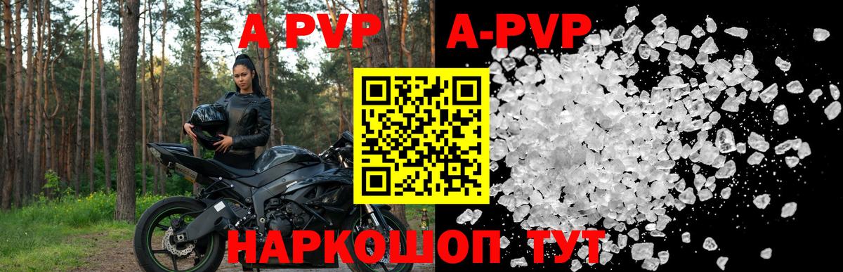 A-PVP СК КРИС Ростов Великий